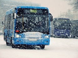 Москвичи пересаживаются на автобусы